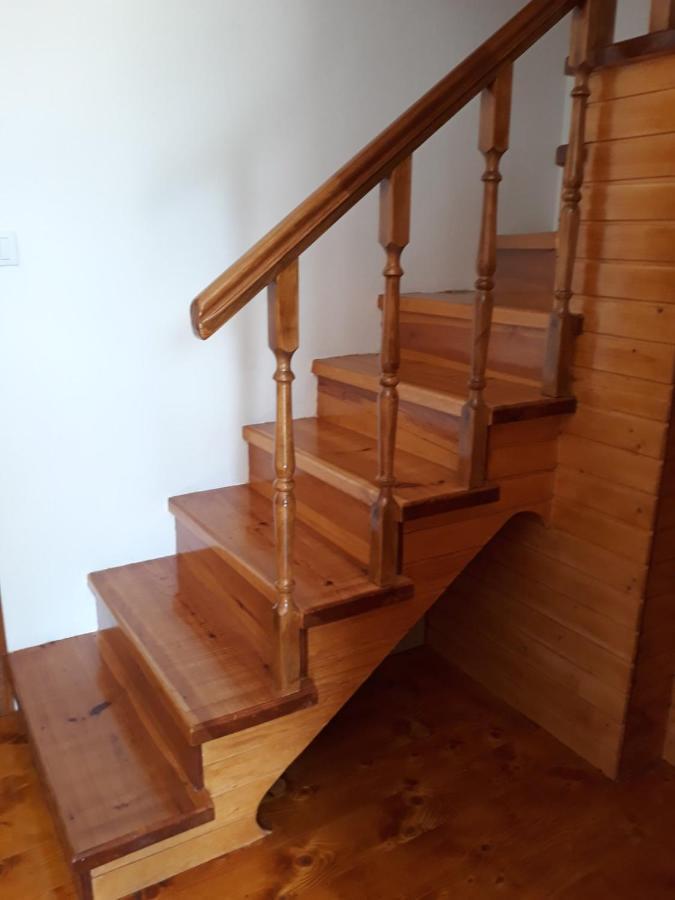 House In Forest Žabljak Zewnętrze zdjęcie