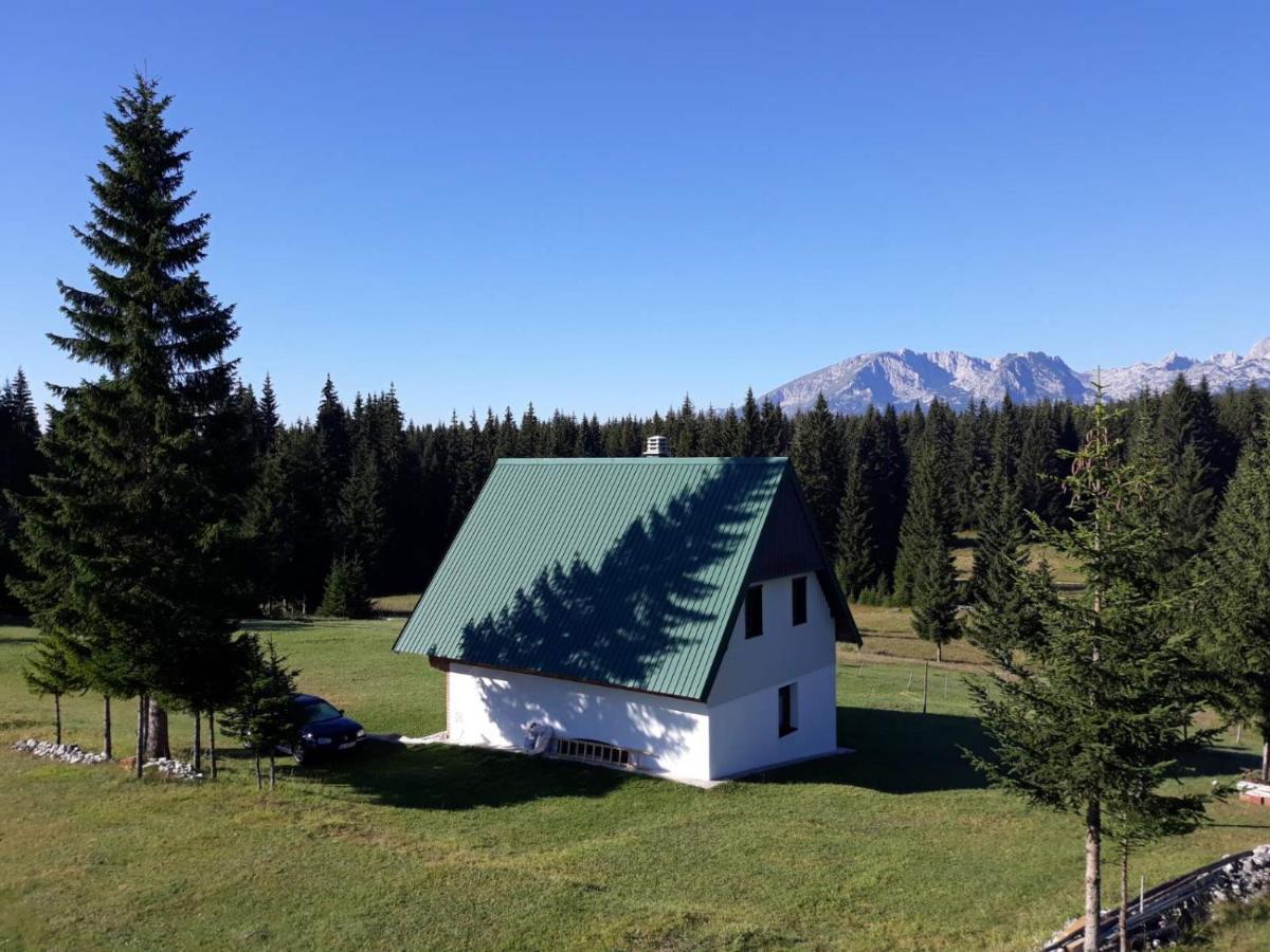 House In Forest Žabljak Zewnętrze zdjęcie