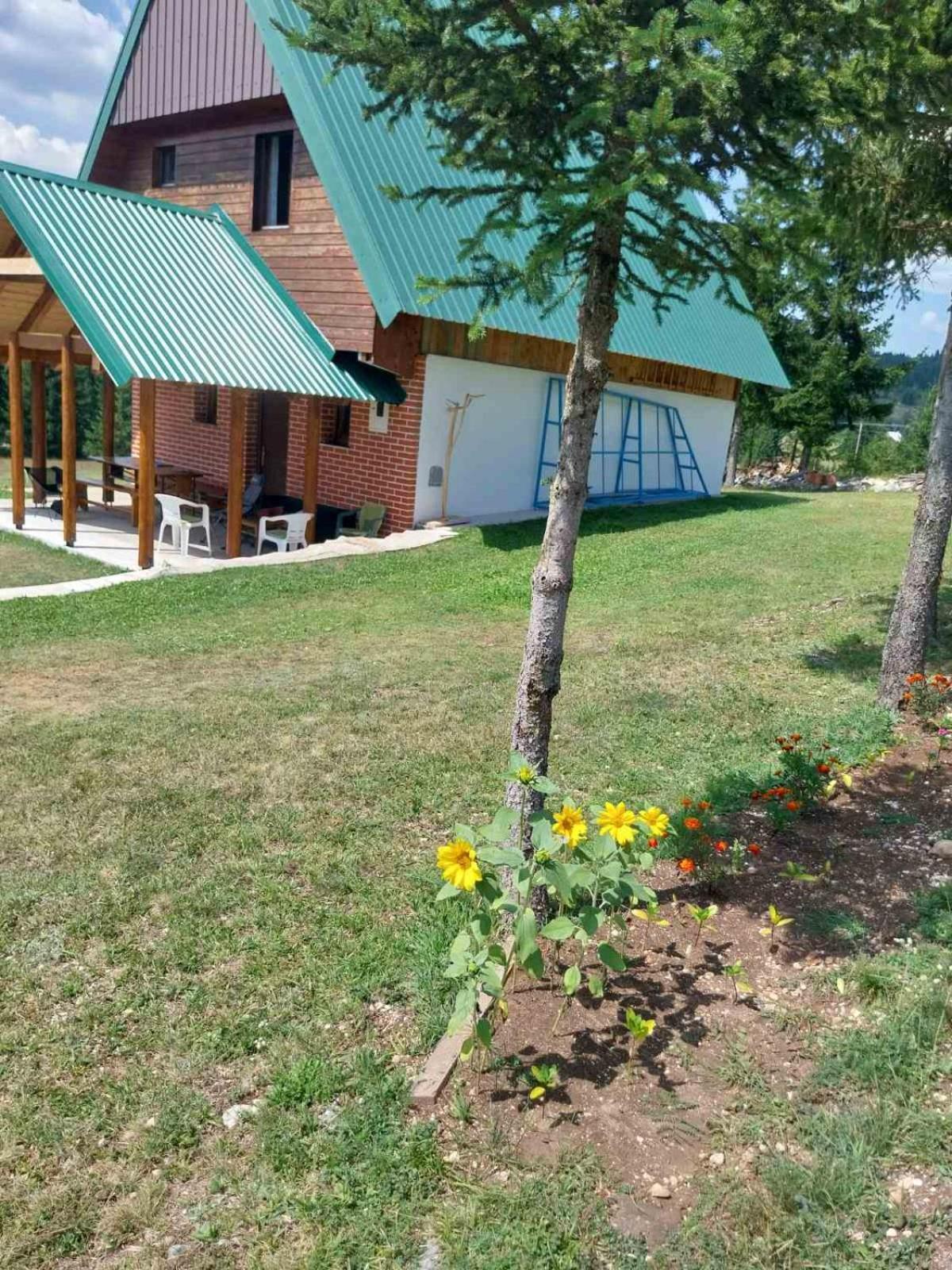 House In Forest Žabljak Zewnętrze zdjęcie