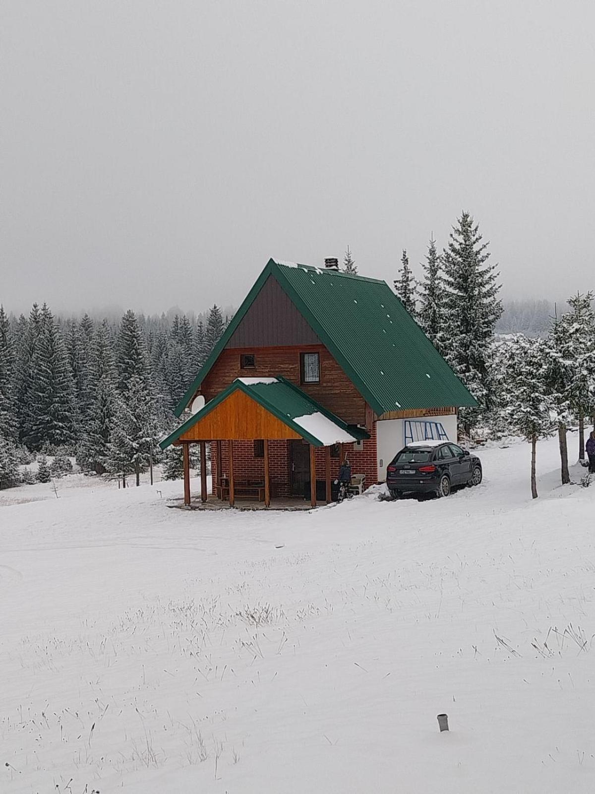 House In Forest Žabljak Zewnętrze zdjęcie