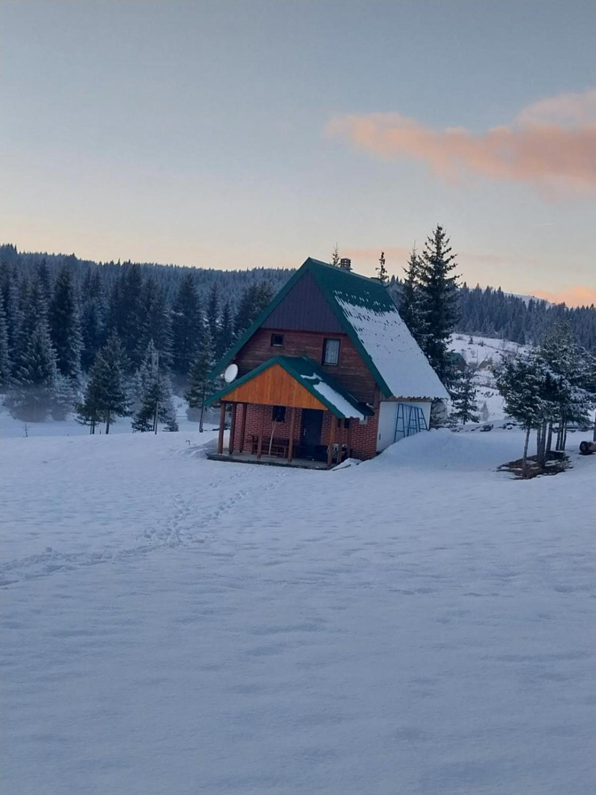 House In Forest Žabljak Zewnętrze zdjęcie