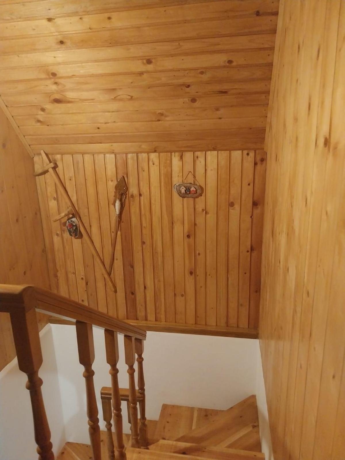 House In Forest Žabljak Zewnętrze zdjęcie