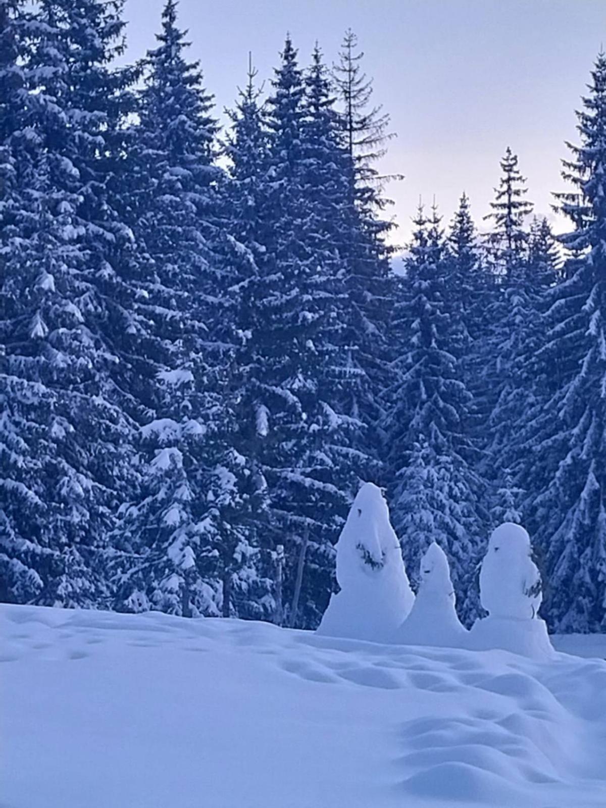 House In Forest Žabljak Zewnętrze zdjęcie