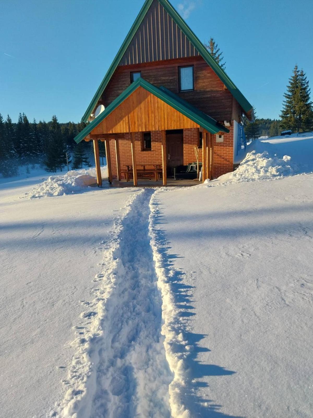 House In Forest Žabljak Zewnętrze zdjęcie