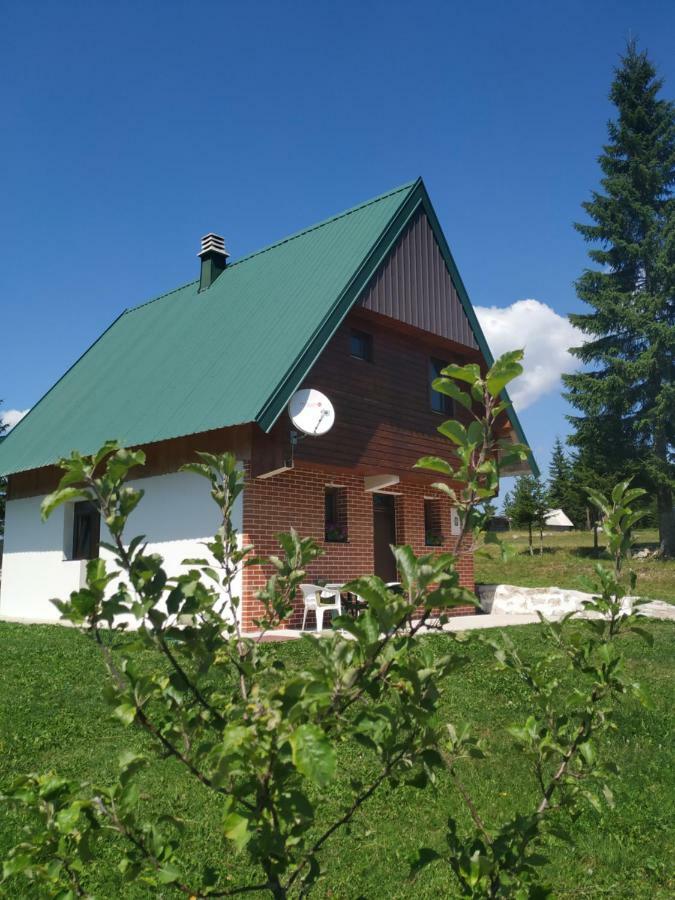 House In Forest Žabljak Zewnętrze zdjęcie