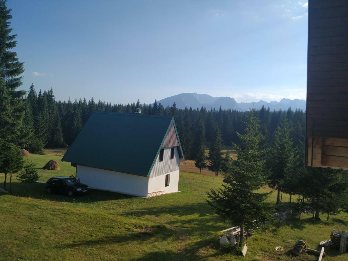House In Forest Žabljak Zewnętrze zdjęcie