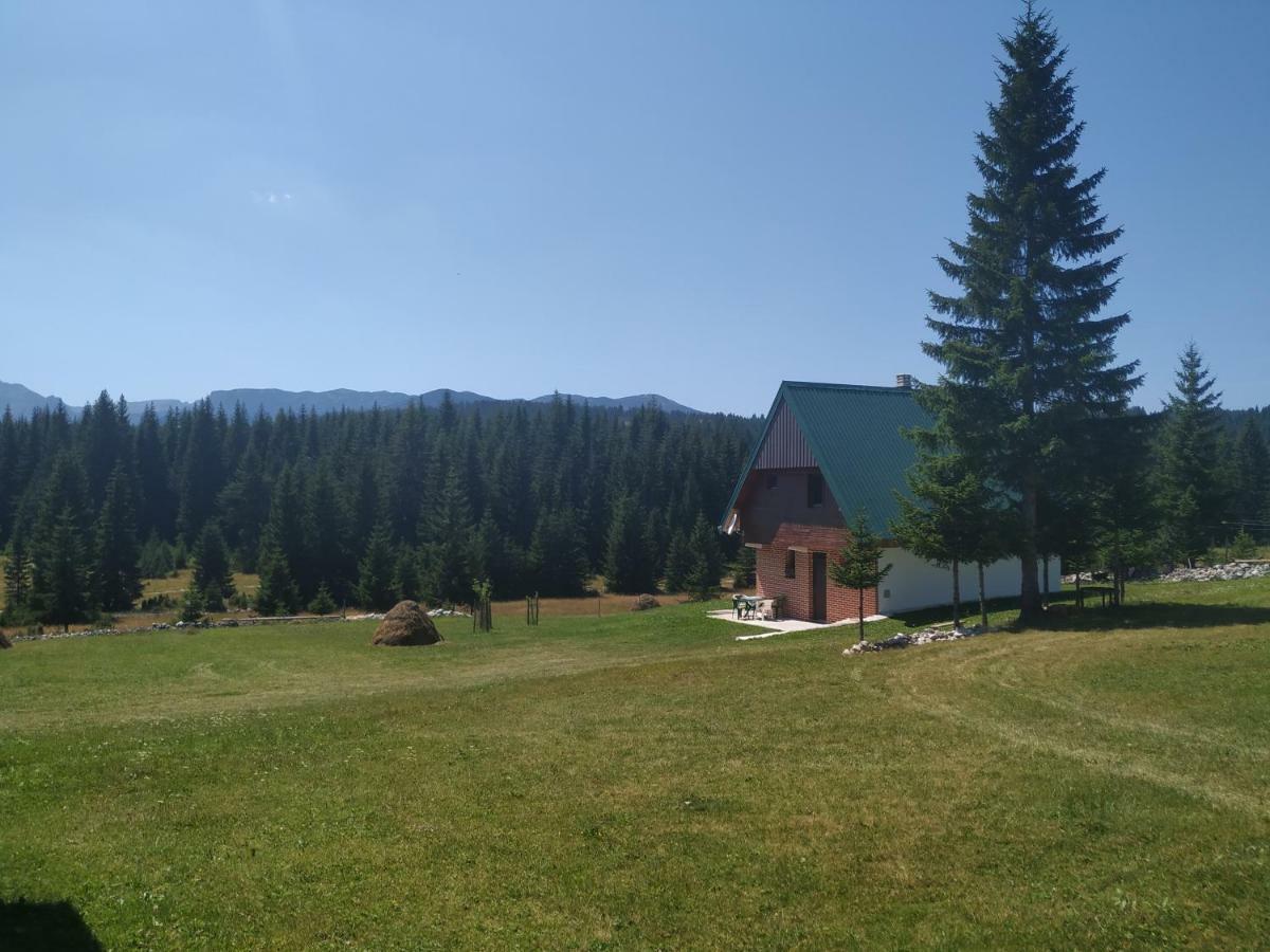 House In Forest Žabljak Zewnętrze zdjęcie