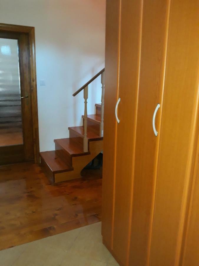 House In Forest Žabljak Zewnętrze zdjęcie